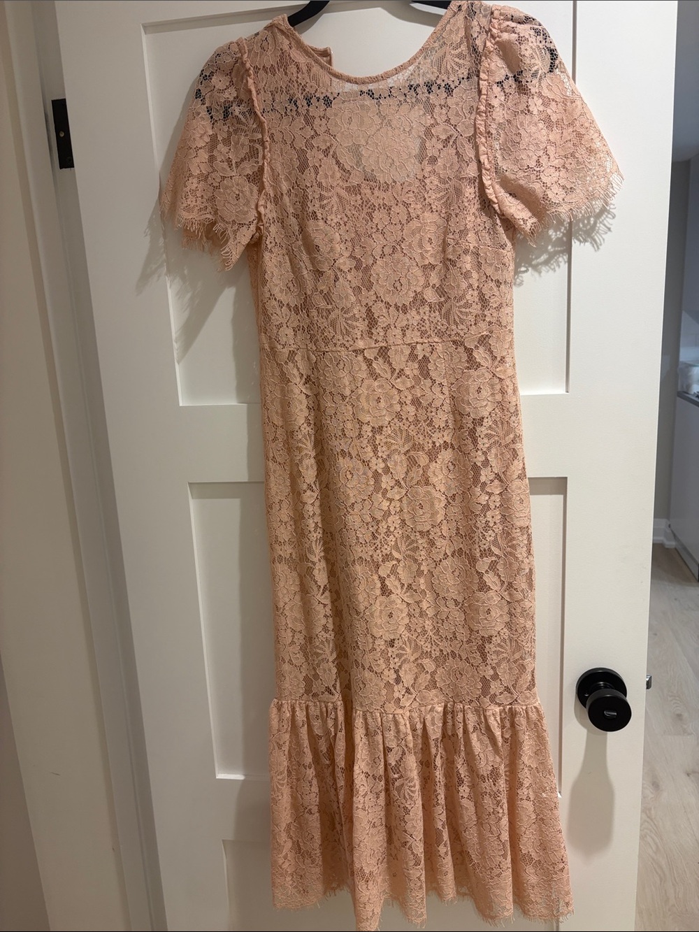 Zara blush Lace Midi Dress with Ruffle Hem NWT